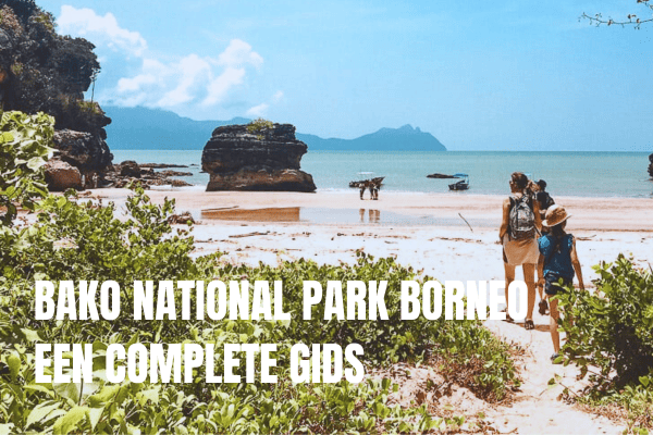 Langkawi rondreis: Wat kan je allemaal doen in Langkawi op drie dagen bako nationale park maleisië