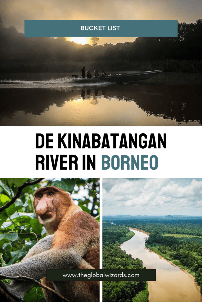 De Kinabatangan River in Borneo De Kinabatangan River In Borneo 1 683x1024