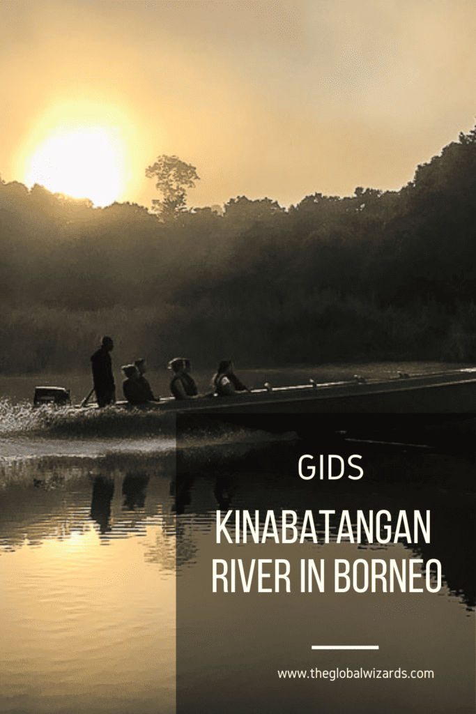 De Kinabatangan River in Borneo De Kinabatangan River In Borneo 683x1024