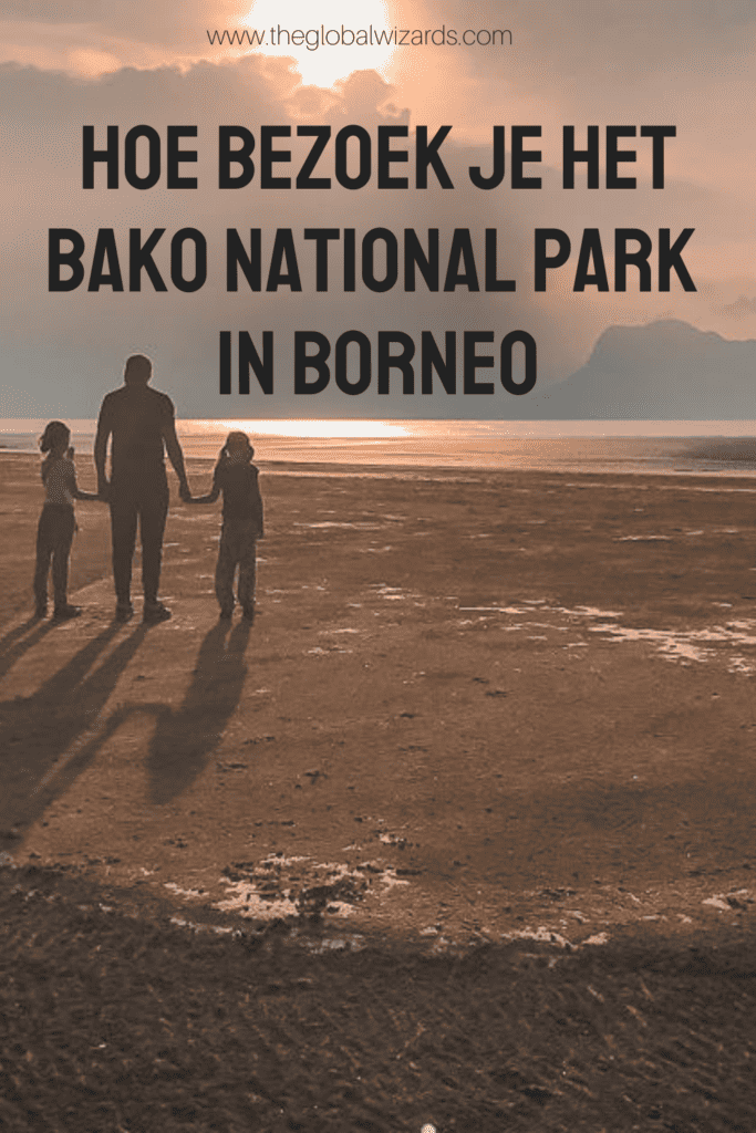 Bako National Park: een complete gids voor jouw bezoek Hoe Bezoek Je Het National Park BAKO In Borneo 683x1024