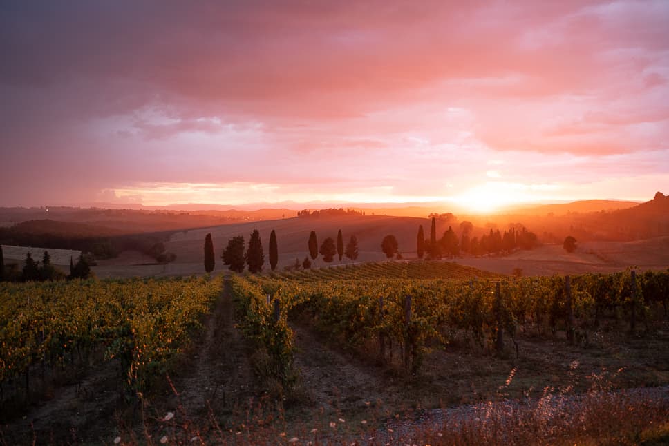 Tuscany Val d'Orcia Sunset Pienza Road Trip