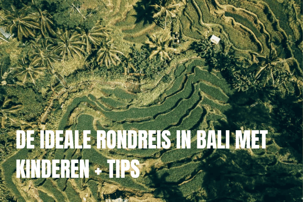 De ideale rondreis in Bali met kinderen + tips
