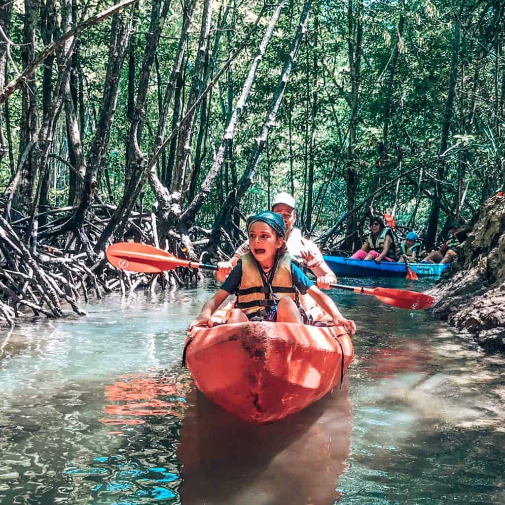 The ultimate Thailand itinerary 3-4 weeks Krabi Mangrove 1 1024x1024