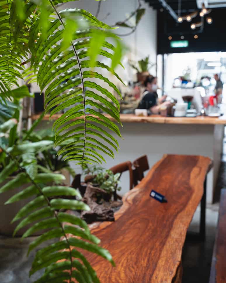 What to do in Penang in 3 days: itinerary for Georgetown and beyond Where to eat Georgetown Penang Coffee Shop the Maker