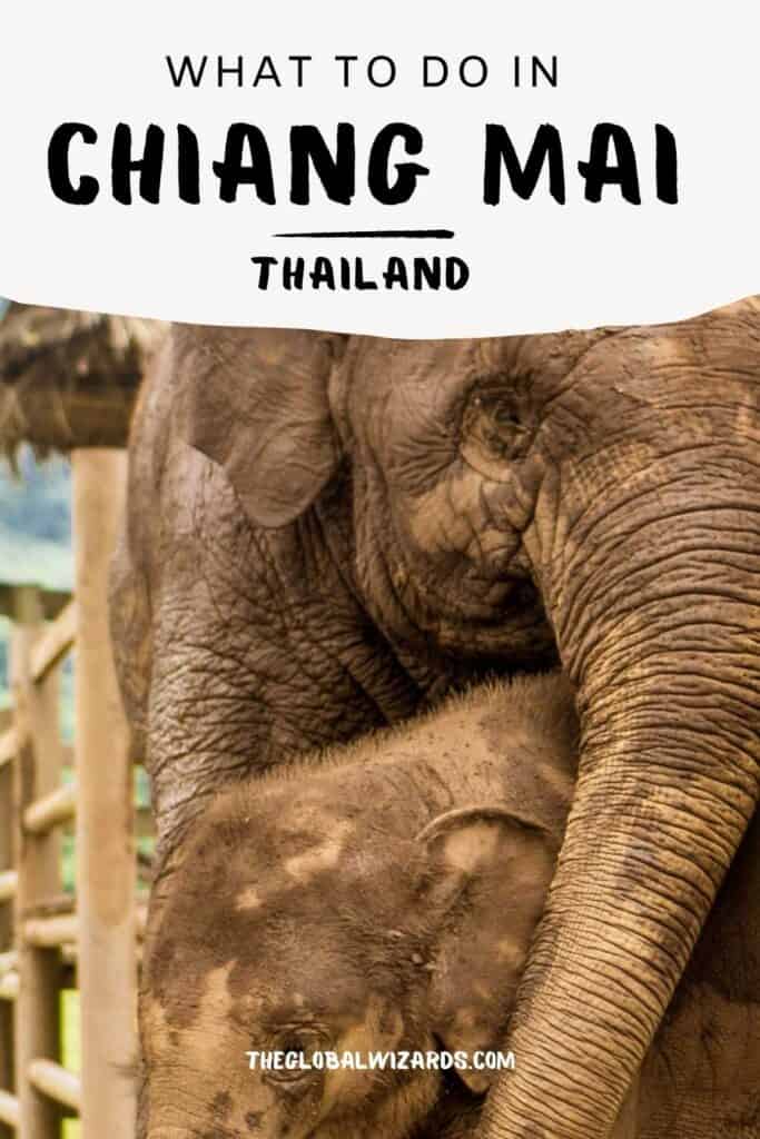 13x What to do in Chiang Mai 2 683x1024