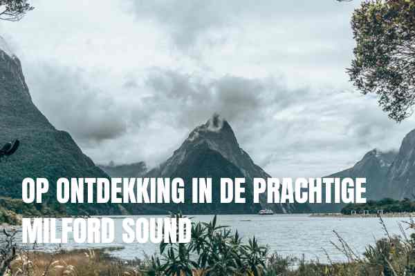 Op ontdekking in de prachtige Milford Sound in Nieuw Zeeland