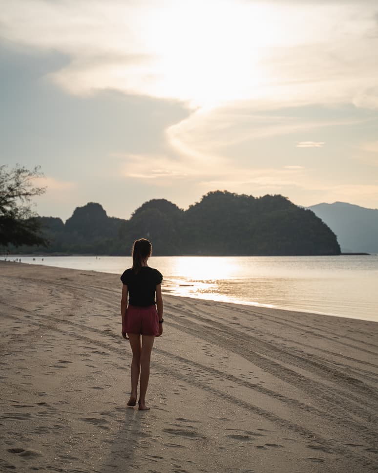 Sunset Mangrove Tour Langkawi itinerary