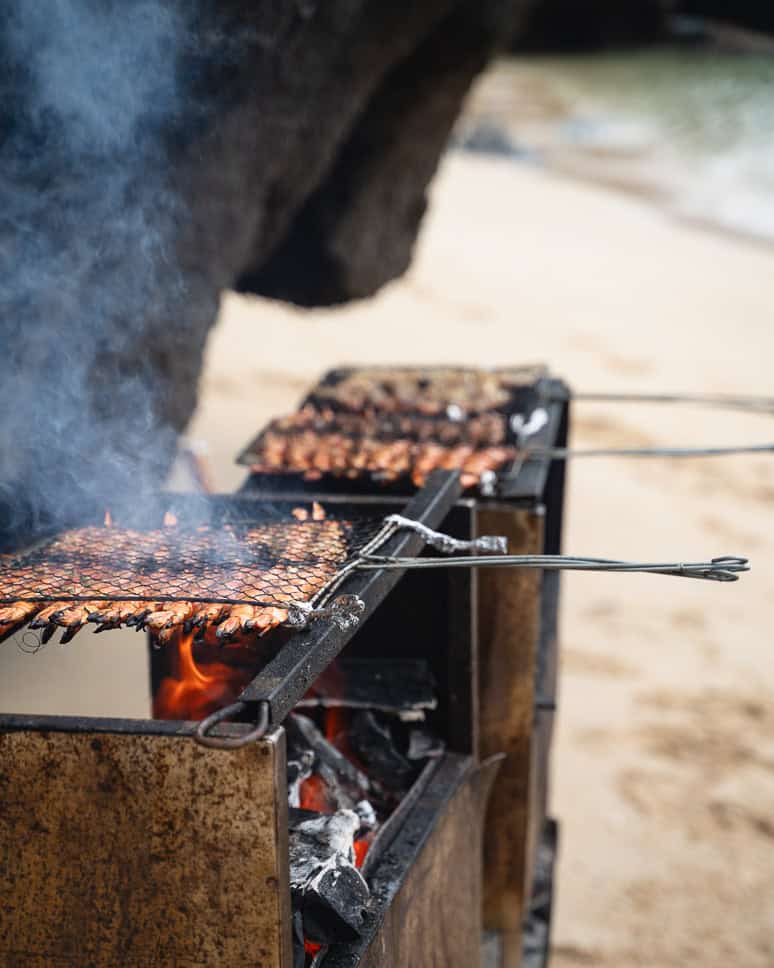 Beach barbecue Bai Tu Long Bay Cruise