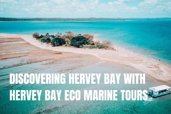 DISCOVERING HERVEY BAY WITH HERVEY BAY ECO MARINE TOURS