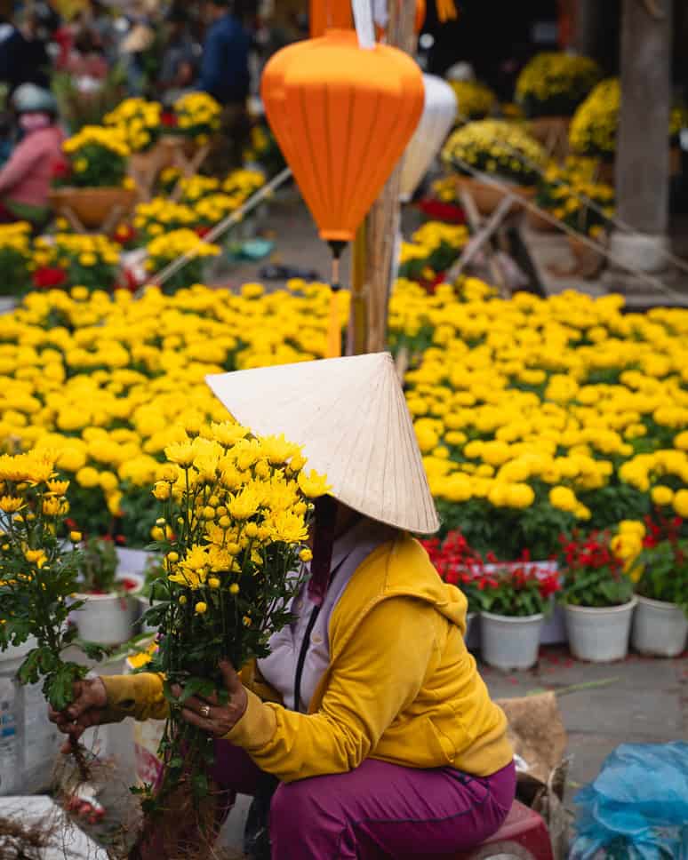 Vietnam bezienswaardigheden: De ultieme Vietnam bucket list A bucket list experience Vietnam Tet Festival Hoi An Yellow Flowers