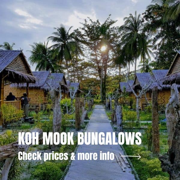 What to do in Koh Mook, our new favorite Thai island Where To Stay Koh Mook Bungalows