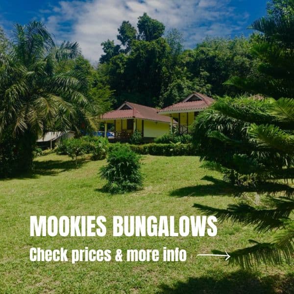 What to do in Koh Mook, our new favorite Thai island Where To Stay Koh Mook Mookies Bungalows 1