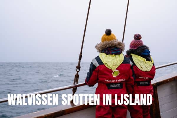 20+ mooiste bezienswaardigheden in IJsland: onze ultieme IJsland bucketlist Walvissen Spotten IJsland