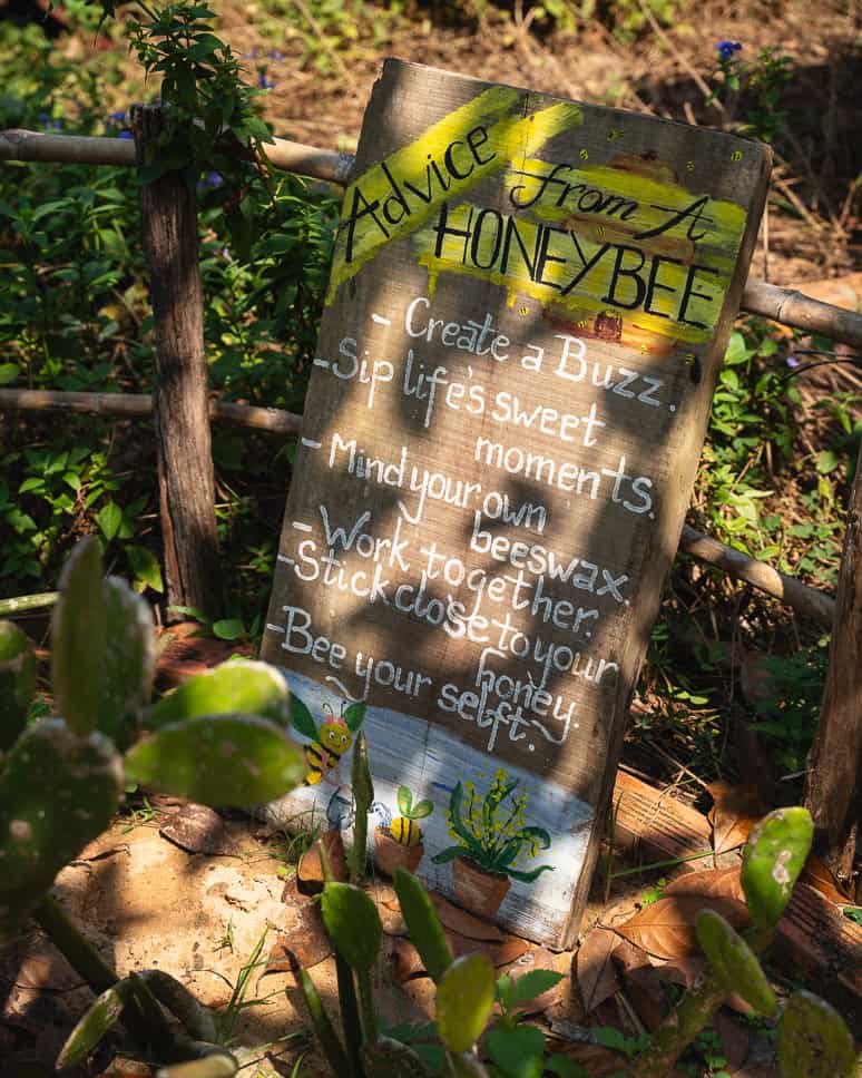 11x Wat te doen in Phu Quoc, het meest tropische eiland van Vietnam Phu Quoc Wat te doen Bee Farm