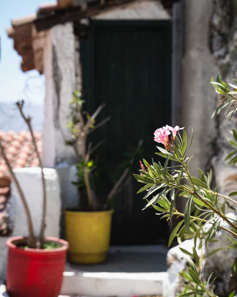 Discover what to do in Athens + the nicest neighborhoods What to do Athens Plaka