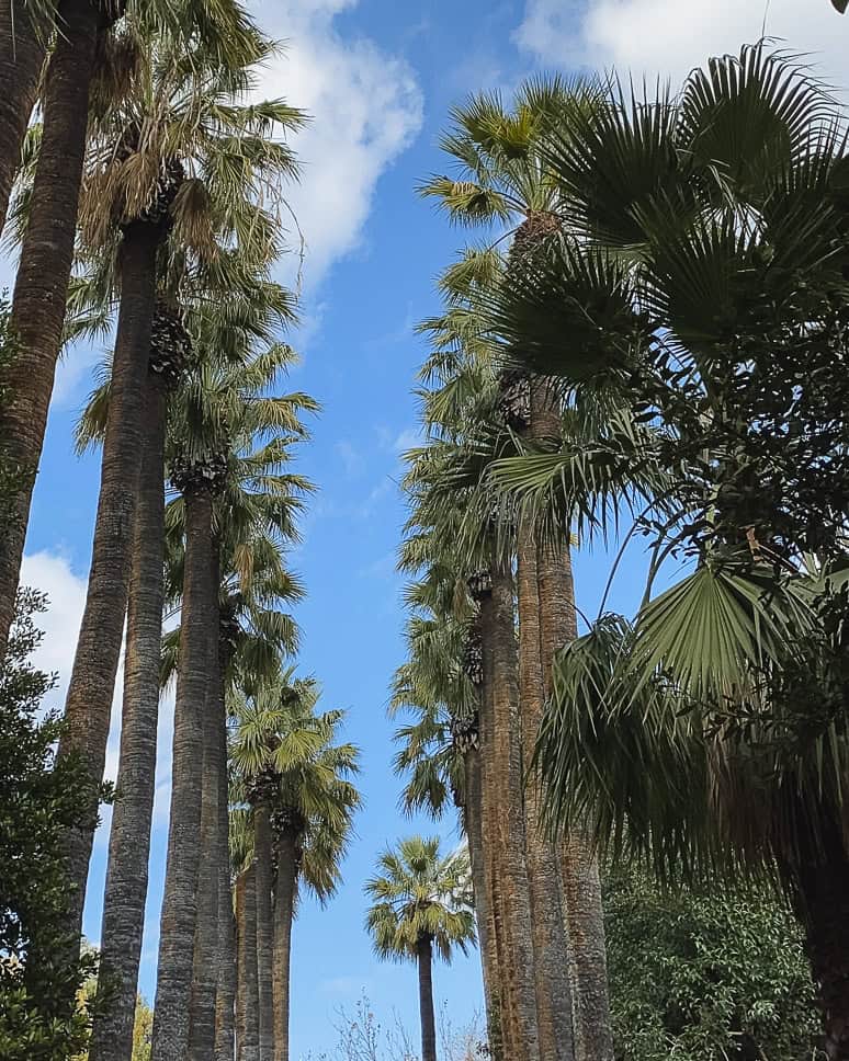 Discover what to do in Athens + the nicest neighborhoods National Gardens Athens things to do