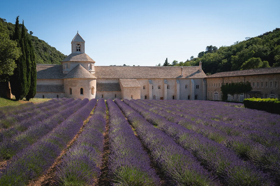 20x the best things to do in Provence, France Abbaye de Senanque Provence best lavender fields