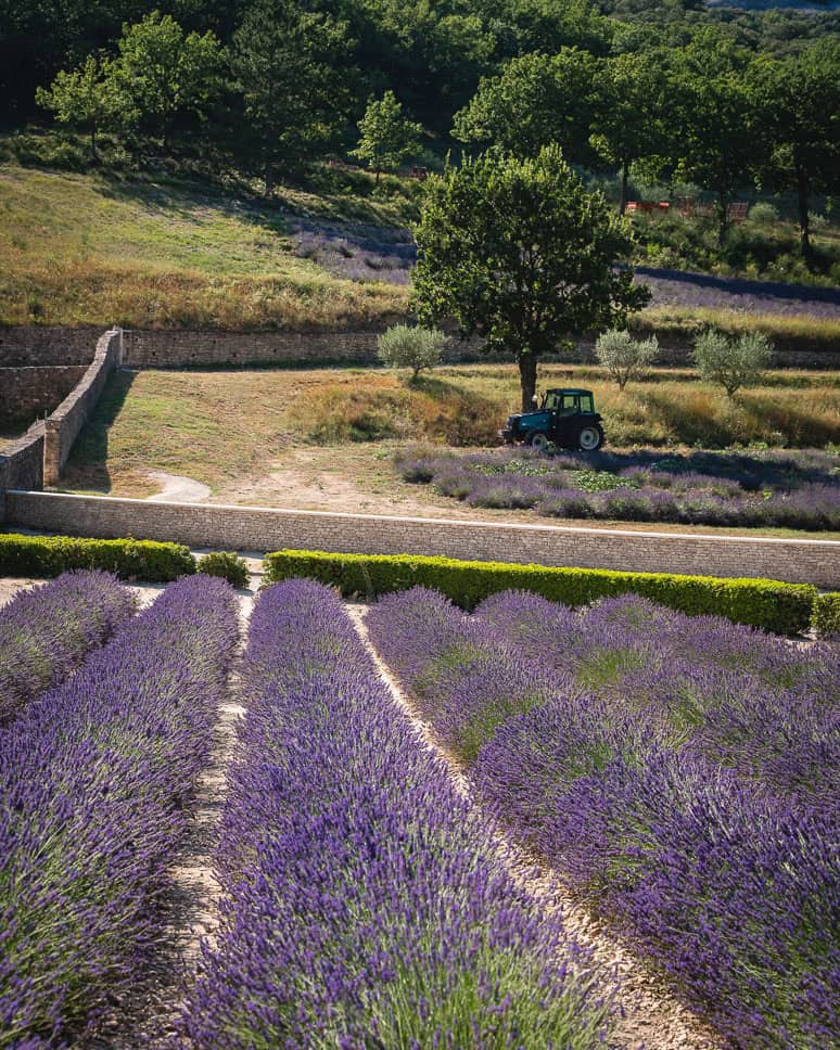 20x the best things to do in Provence, France Top things to do in Provence France