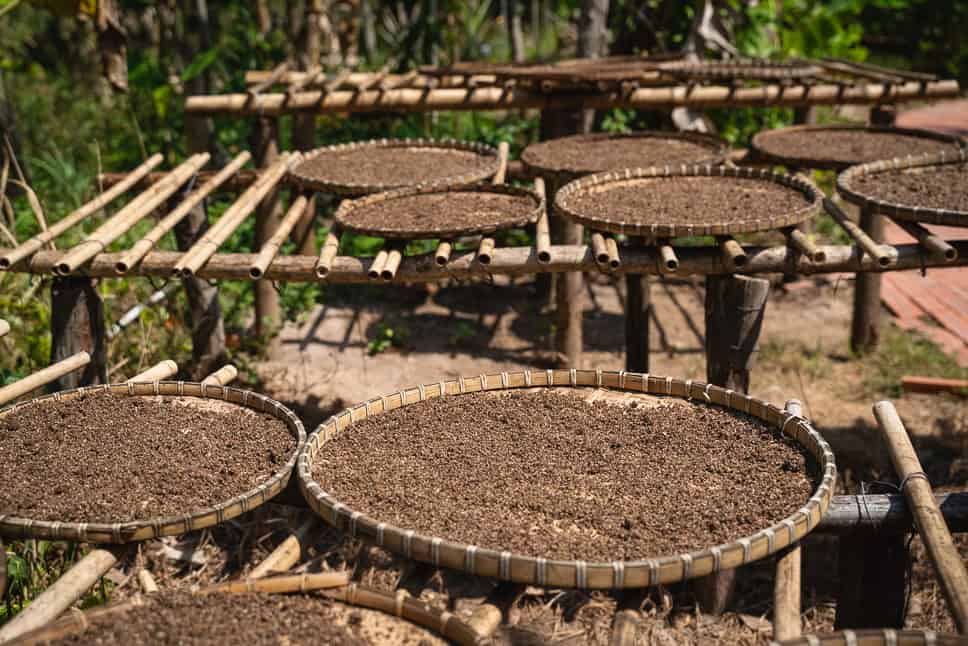 11x Wat te doen in Phu Quoc, het meest tropische eiland van Vietnam Pepper Farm Leuke dingen om te doen Phu Quoc