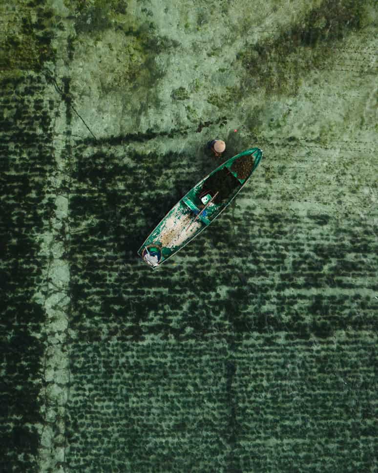 Wat te doen op Nusa Lembongan en Nusa Ceningan: onze beste tips Nusa Lembongan Drone Zeewier Plantage Te doen bezienswaardigheden Niet te missen