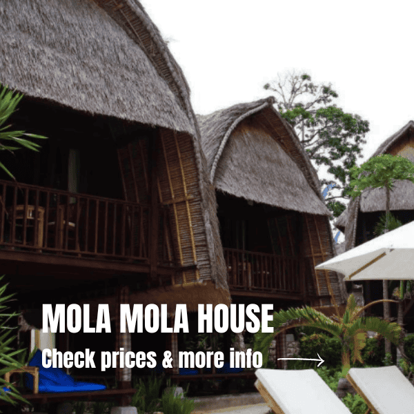 What to do on Nusa Lembongan and Nusa Ceningan: our best tips Where To Stay In Nusa Lembongan 1