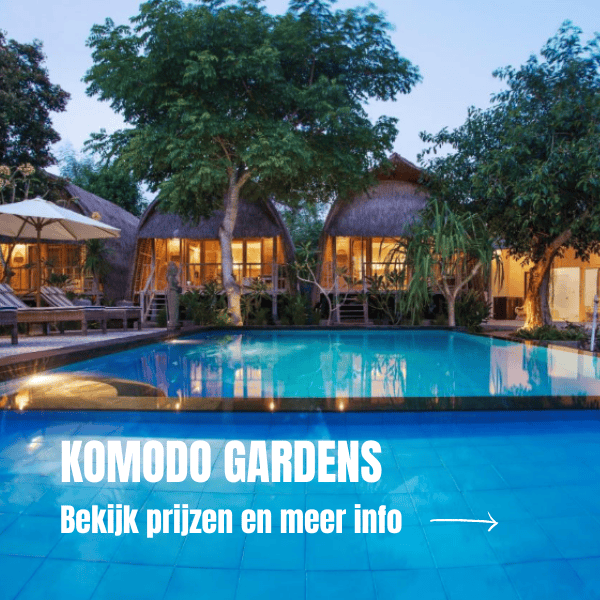 Wat te doen op Nusa Lembongan en Nusa Ceningan: onze beste tips Waar Te Verblijven In Nusa Lembongan