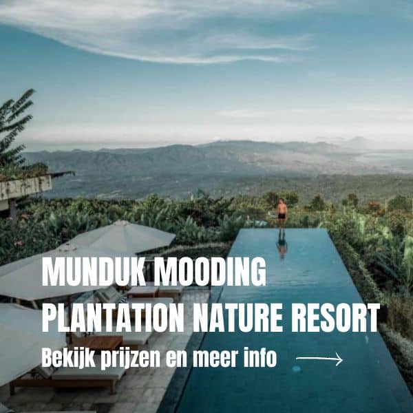 10x Wat te doen in Munduk Bali Waar te verblijven in Munduk in Bali