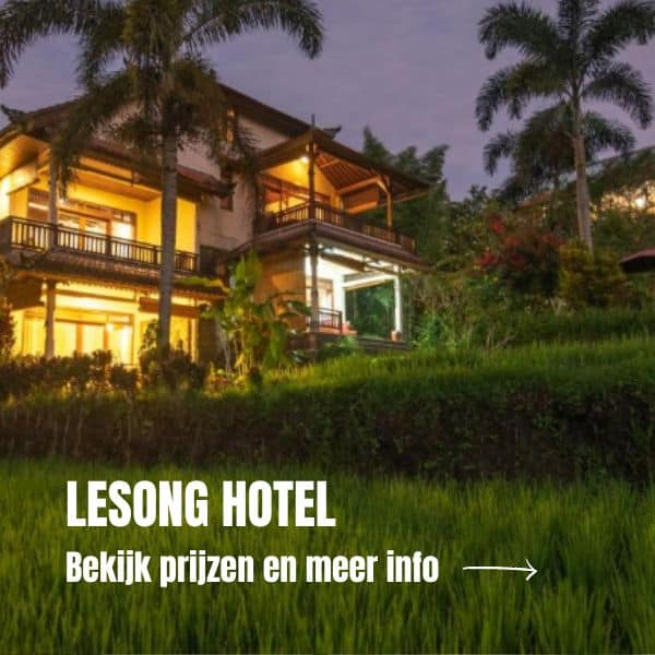 10x Wat te doen in Munduk Bali Waar te verblijven in Munduk in Bali