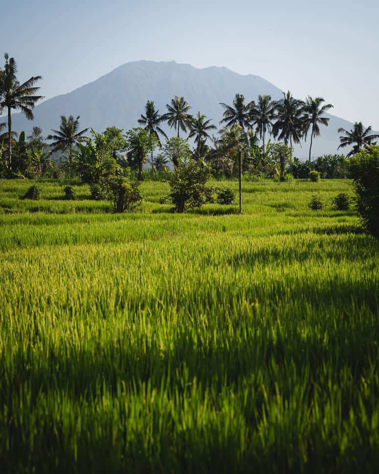 Wat te doen in Sidemen Bali rijstvelden Mount Agung