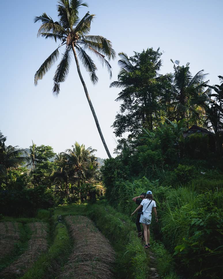 Wandeling met gids in Sidemen Bali