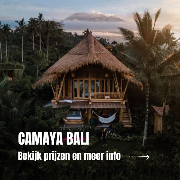 Waar Te Verblijven In Sidemen Bamboo Camaya