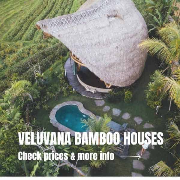 What to do in Sidemen, a hidden gem in Bali Where To Stay In Sidemen 1
