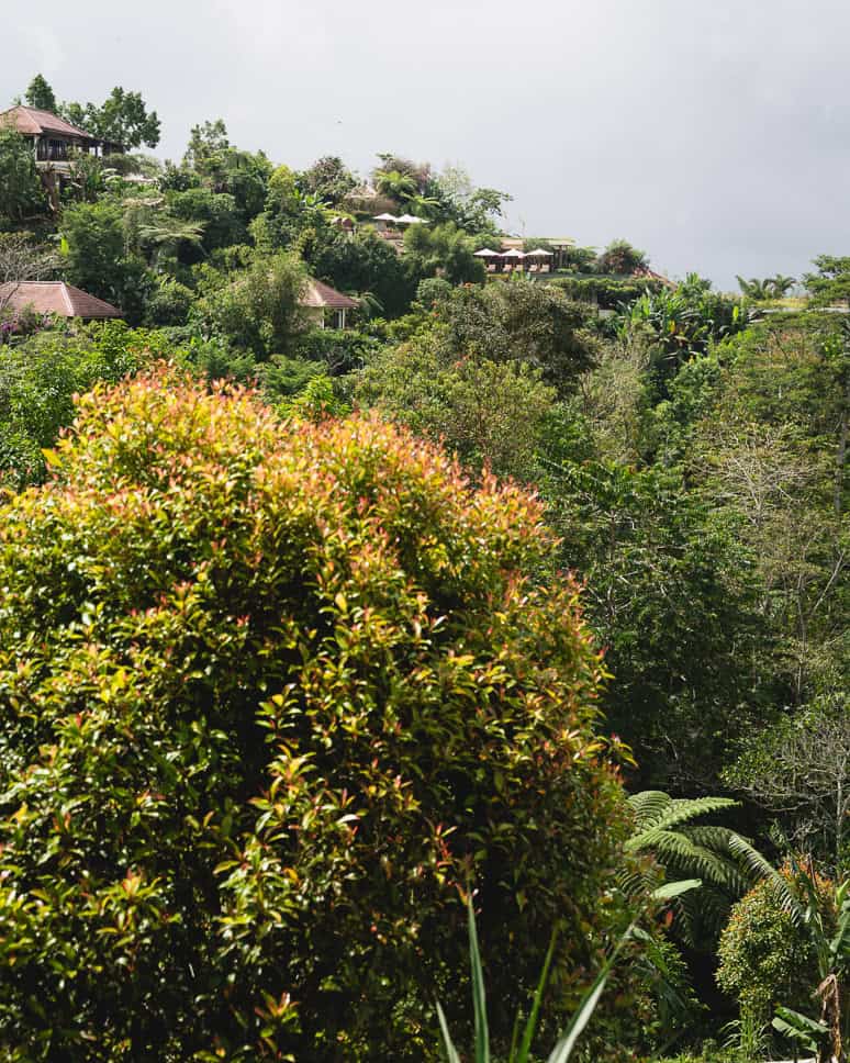 Munduk Moding Plantation Bali Resort Eco
