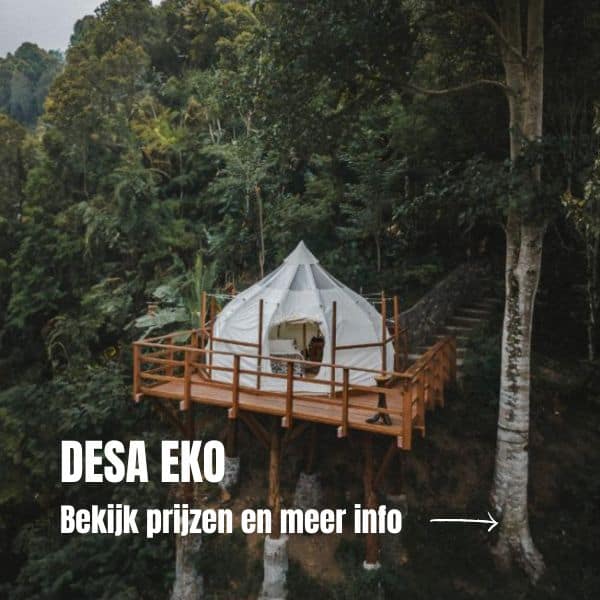 10x Wat te doen in Munduk Bali Waar Te Verblijven In Munduk Bali