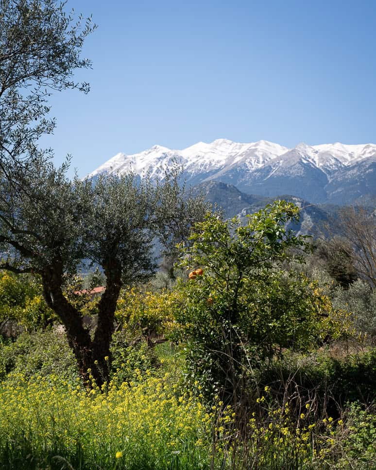 The ultimate 10-day itinerary for Greece + Peloponnese Greece itinerary Peloponnese countryside