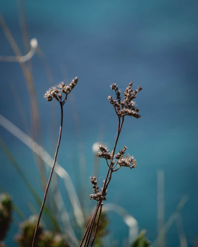 Visit Greece in spring