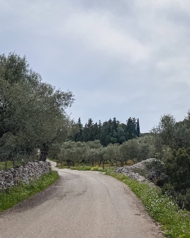 What to do in Zakynthos Discover the interior of Zakynthos