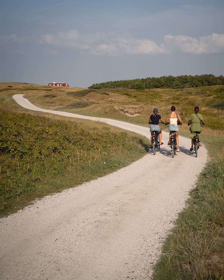 Surfen in Ameland: een weekje op Surf & Family Camp met Ripstar Ameland Fietsen Duinen Nederland