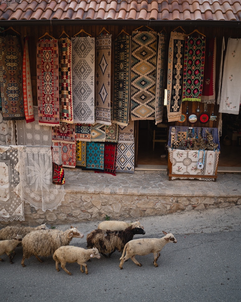 Albania road trip: our ultimate itinerary for 10 days to 3 weeks the streets in Kruje in ALbania with sheeps and a merket stal with carpets