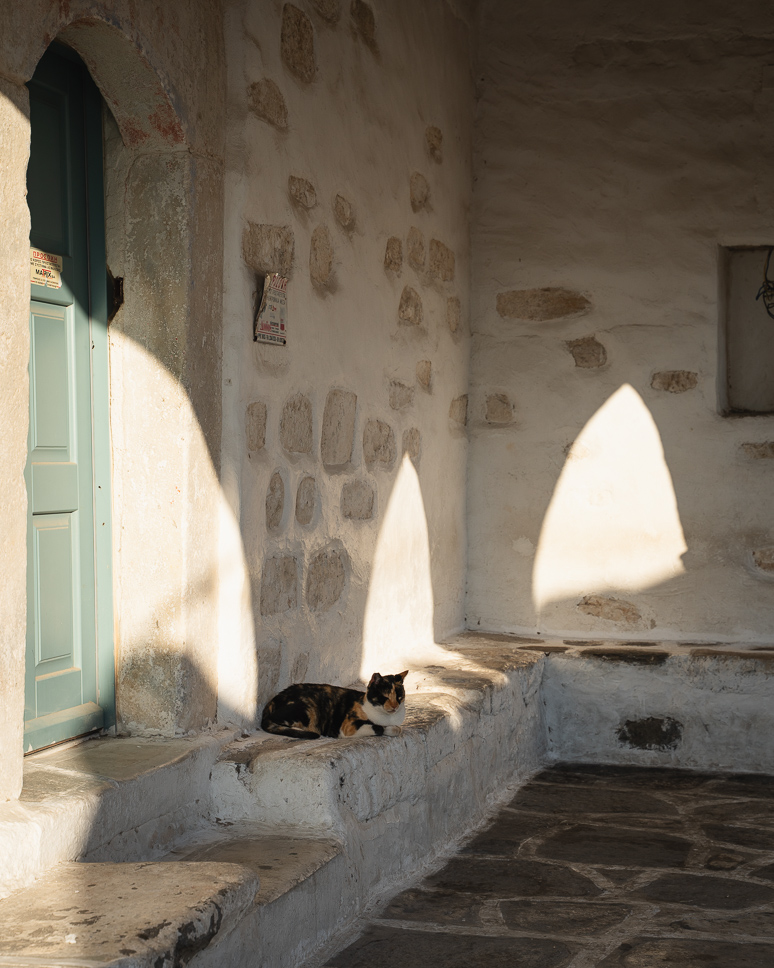 What to do in Paros, Greece: complete travel guide + 4-day itinerary Photo of a cat at sunset at the Church of Athena in Parikia<br>A cat at sunset by the Athena Church in Parikia